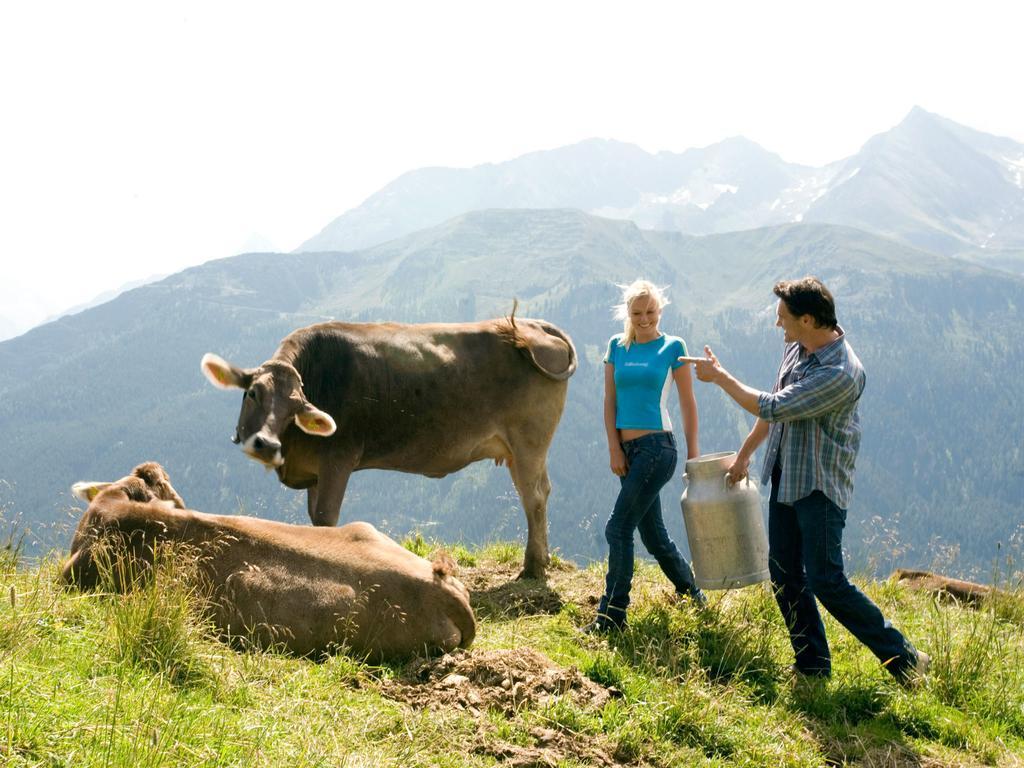 Gasthof Pension Madseiterhof トゥクス エクステリア 写真